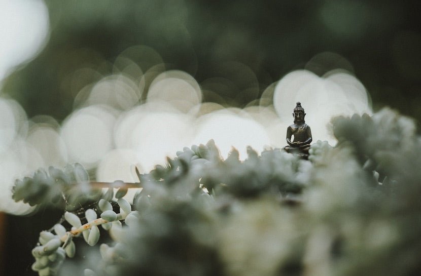 7 Ways To Manage Anxiety Naturally - Loose Leaf Tea Market