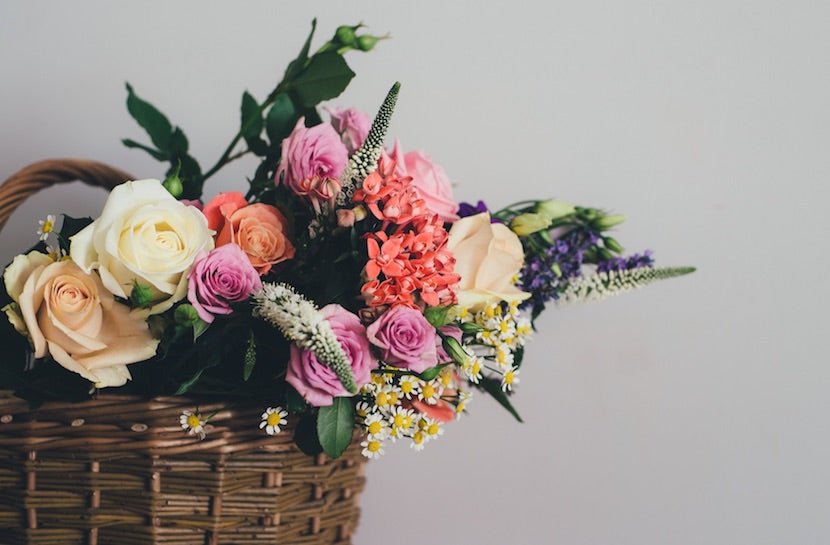 9 Flower Teas To Help You Blossom And Glow - Loose Leaf Tea Market