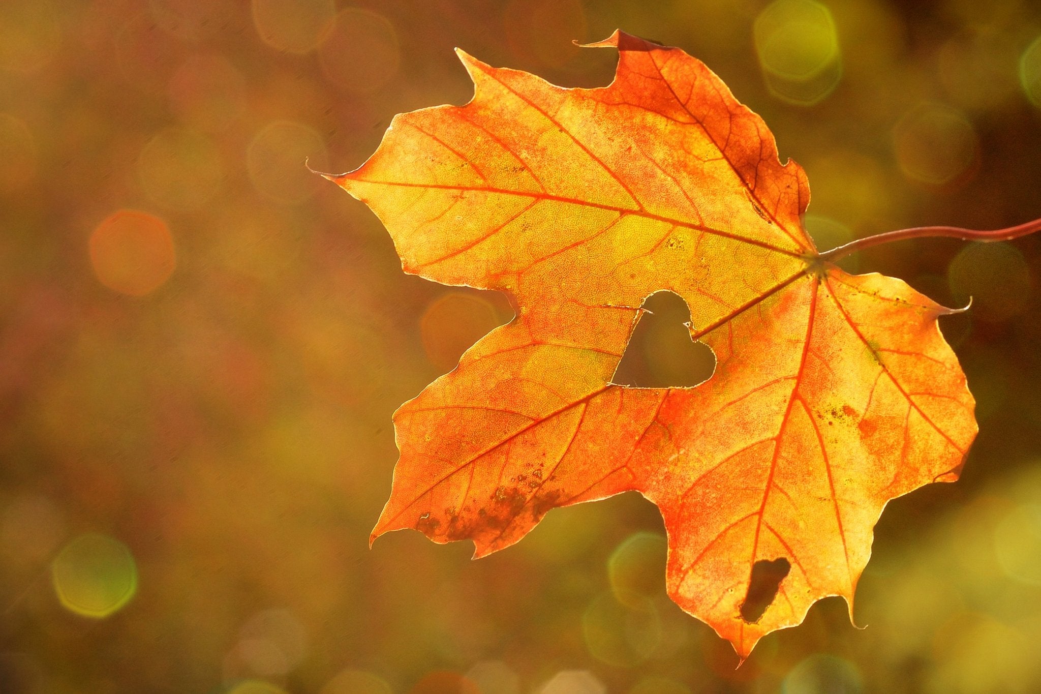 According To Astrology, Here Is What To Expect In October 2021 - Loose Leaf Tea Market
