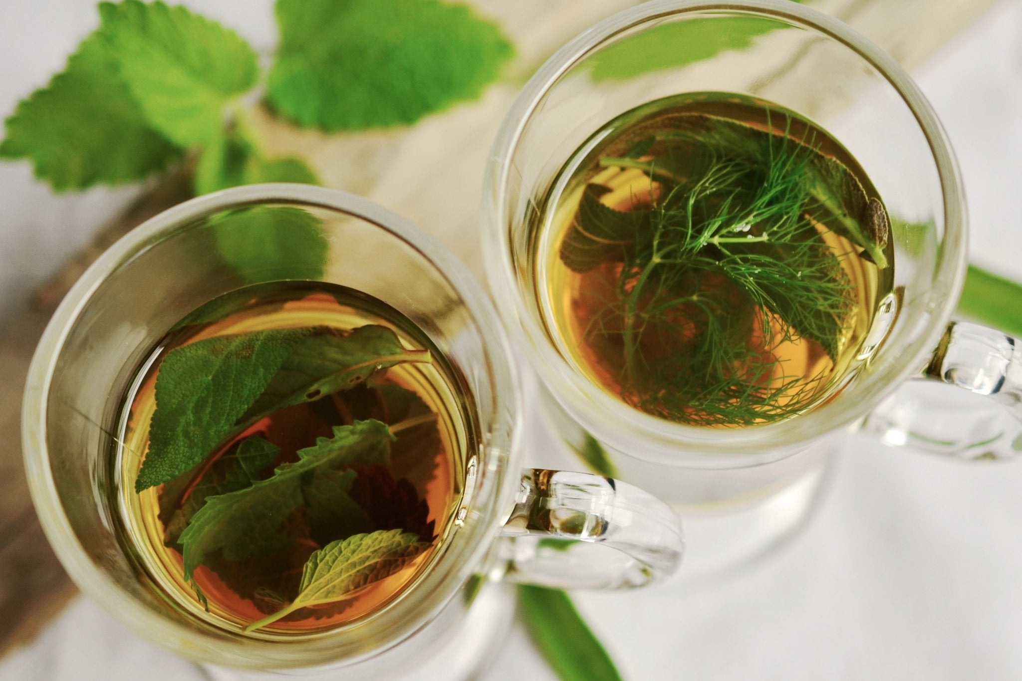 Aren’t You Cold Brewing Yet? 6 Reasons Why You Should Start Today - Loose Leaf Tea Market