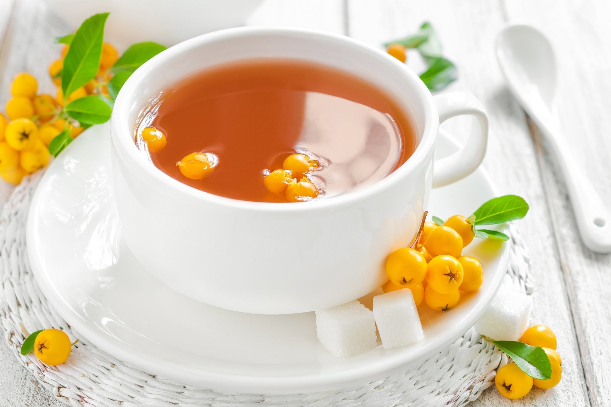 Feel Better This Year With These 6 Teas: New Herbal Teas To Add To Your Arsenal - Loose Leaf Tea Market