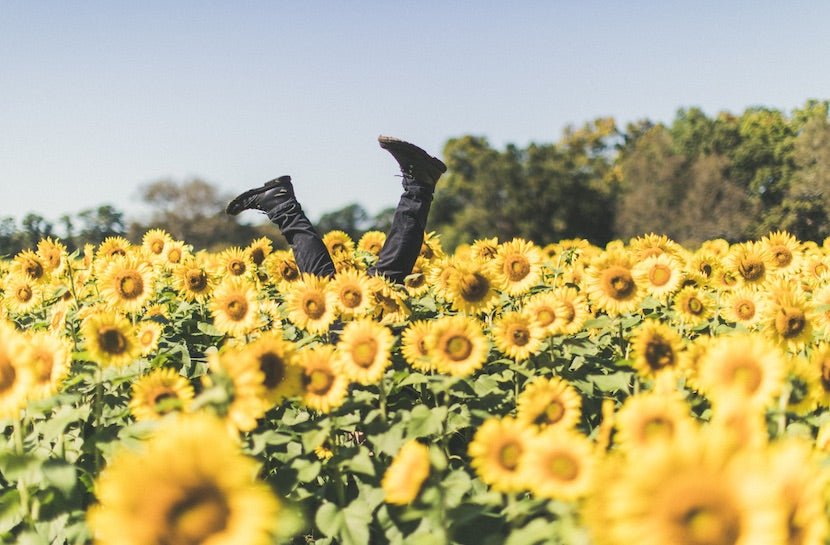 Here Are 7 Ways to Feel More Positive This Year - Loose Leaf Tea Market
