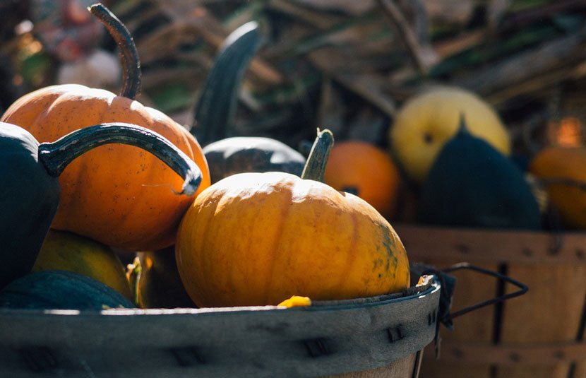 October Greeting From Kita - Loose Leaf Tea Market